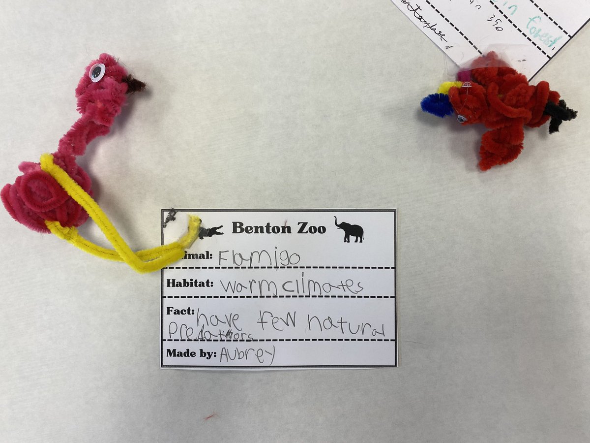 Our pipe cleaner zoo is open in the library! Families can stop by and see our zoo tomorrow night at our Glow Party! #BentonBold