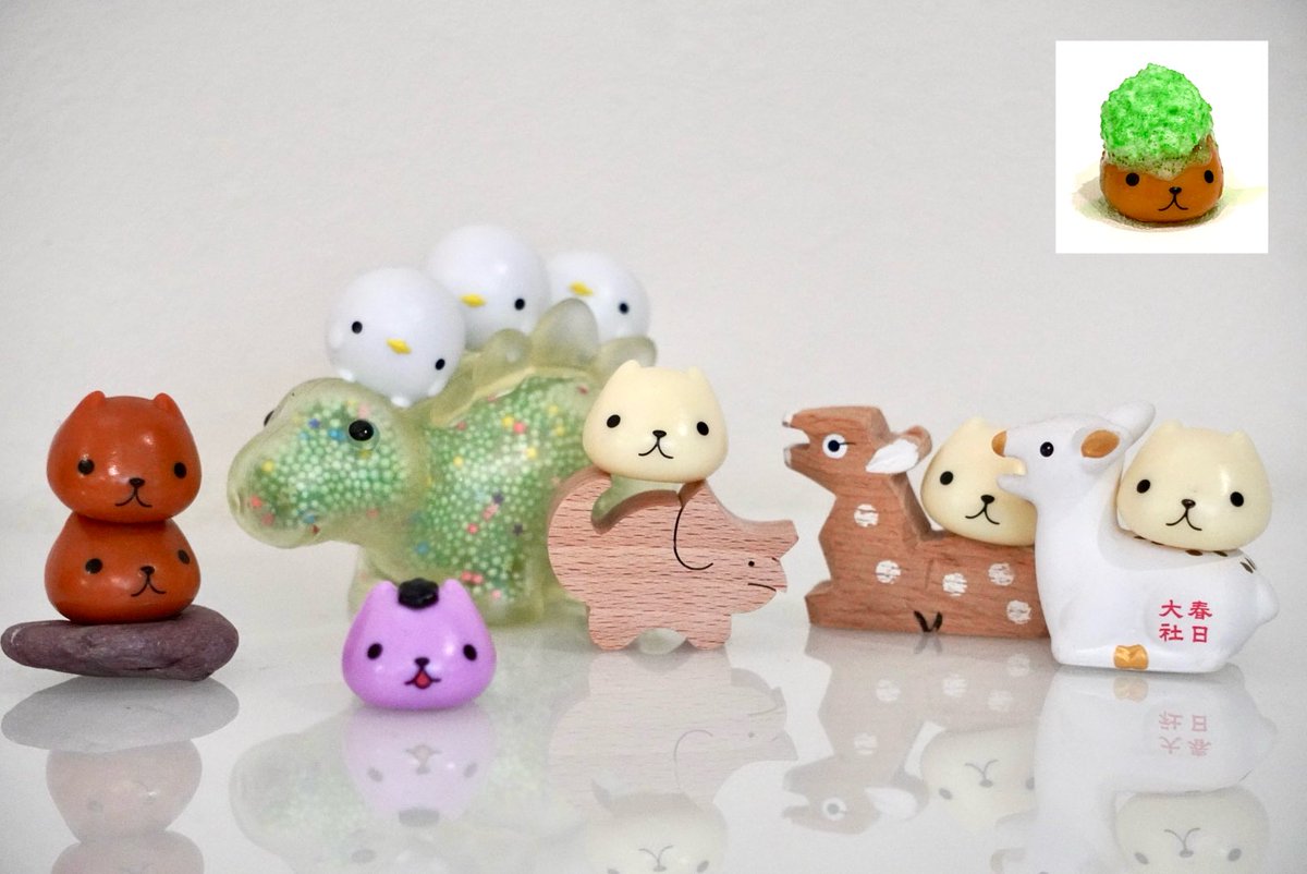 カピバラさん専用 (@kapisuki179421) / Posts / X