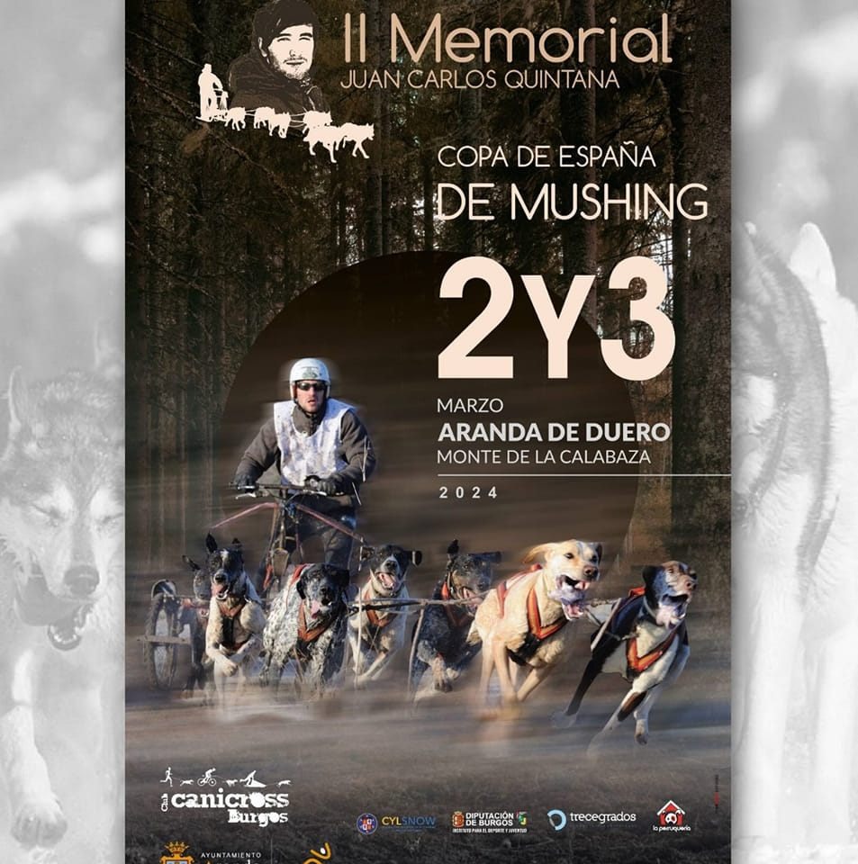 Diego A. Martín (duerodeporte.com) tweet media