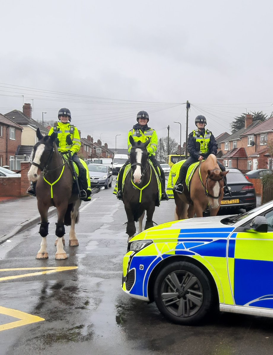 Some of our @TVP_horses  and their riders have been patrolling around the Farnham Road area of #Slough this afternoon, helping local officers deter anti-social behaviour in our parks and open spaces.

#MountedSection #OpCuba #P6221