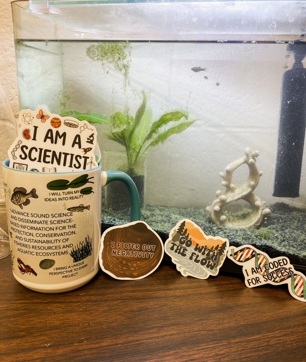 Hello Illinois @AmFisheriesSoc members! Look out for this special raffle item that I designed for next weeks conference! 🐟 

#ILAFS #FreshwaterMussel #GameFish #IAmAScientist @SIUafs @afs_uiuc