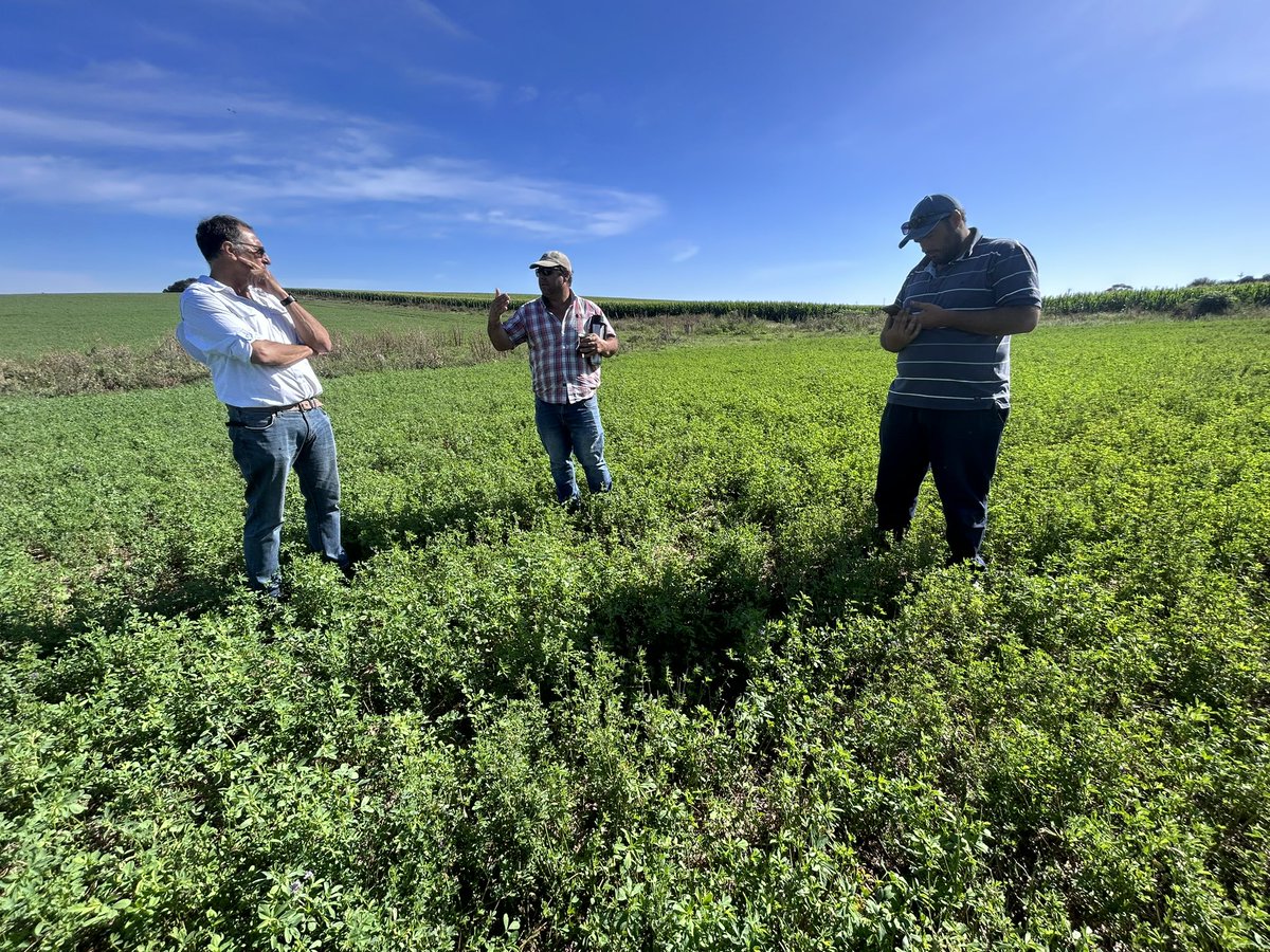 Mañana de recorrida de pasturas con nuestro especialista Diego Vercellino por la zona de Viboras. En este caso visitamos a los hermanos Oliver, productores queseros artesanales