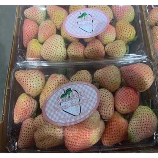 Nicolle Bazant Pleil (@sfsdfoodservice) on Twitter photo We are excited to have PinkBerries next week from California. successvalleyproduce.com <a href="/TRINITY_MLUCAS/">Dr. Michael Lucas</a> <a href="/TMSTrinityPride/">Trinity Middle</a> <a href="/thstrinitypride/">Trinity High School</a> <a href="/KeruskinPete/">bet8KU游TX体育BBV体育彩娱乐下注MG真人雷火电竞生肖天际猎人英皇体育华纳飞亚体育</a> @MrsBenzEastElem <a href="/thstrinitypride/">Trinity High School</a> <a href="/Trinitywestbest/">Trinity West</a> <a href="/tnetrinitypride/">Trinity North Elementary School</a> We are excited to have PinkBerries next week from California. successvalleyproduce.com <a href="/TRINITY_MLUCAS/">Dr. Michael Lucas</a> <a href="/TMSTrinityPride/">Trinity Middle</a> <a href="/thstrinitypride/">Trinity High School</a> <a href="/KeruskinPete/">bet8KU游TX体育BBV体育彩娱乐下注MG真人雷火电竞生肖天际猎人英皇体育华纳飞亚体育</a> @MrsBenzEastElem <a href="/thstrinitypride/">Trinity High School</a> <a href="/Trinitywestbest/">Trinity West</a> <a href="/tnetrinitypride/">Trinity North Elementary School</a>