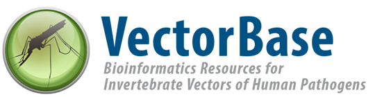 Copy the logo and save it for your use! Learn more about citing VectorBase here: vectorbase.org/vectorbase/app…