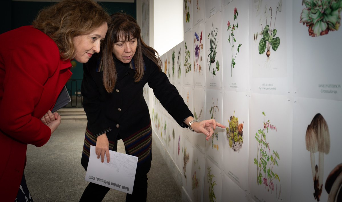 CSIC's tweet photo. El @RJBOTANICO inaugura la exposición 'Ellas ilustran botánica’. La muestra reúne el trabajo de ilustradoras desde el siglo XVII hasta la actualidad, desvelando la relación entre arte, ciencia y género.
📍 Pabellón Villanueva (RJB)
🗓️ Hasta el 18 de mayo
▶️https://t.co/DPk87ZDobR https://t.co/OyokW3p0um