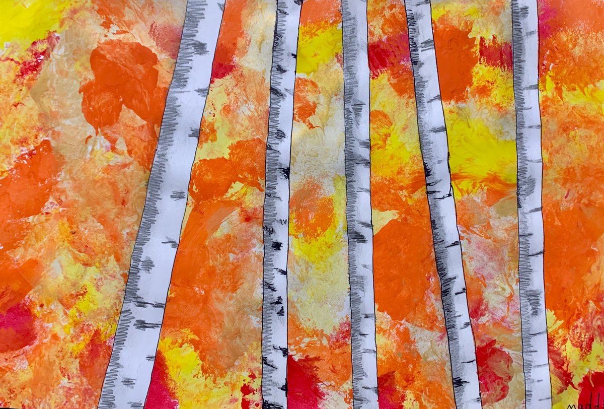 CCSD 46 Grayslake IL tweet media