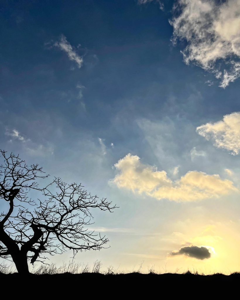 Michael Huen tweet media