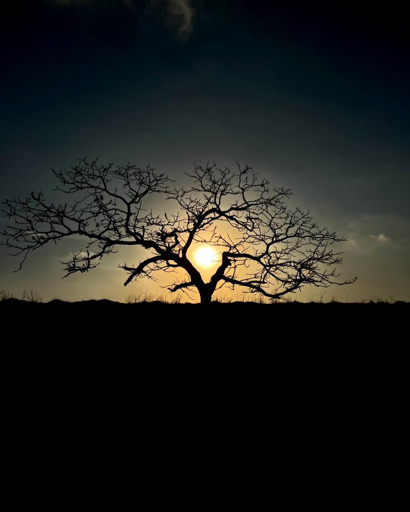 Michael Huen tweet media