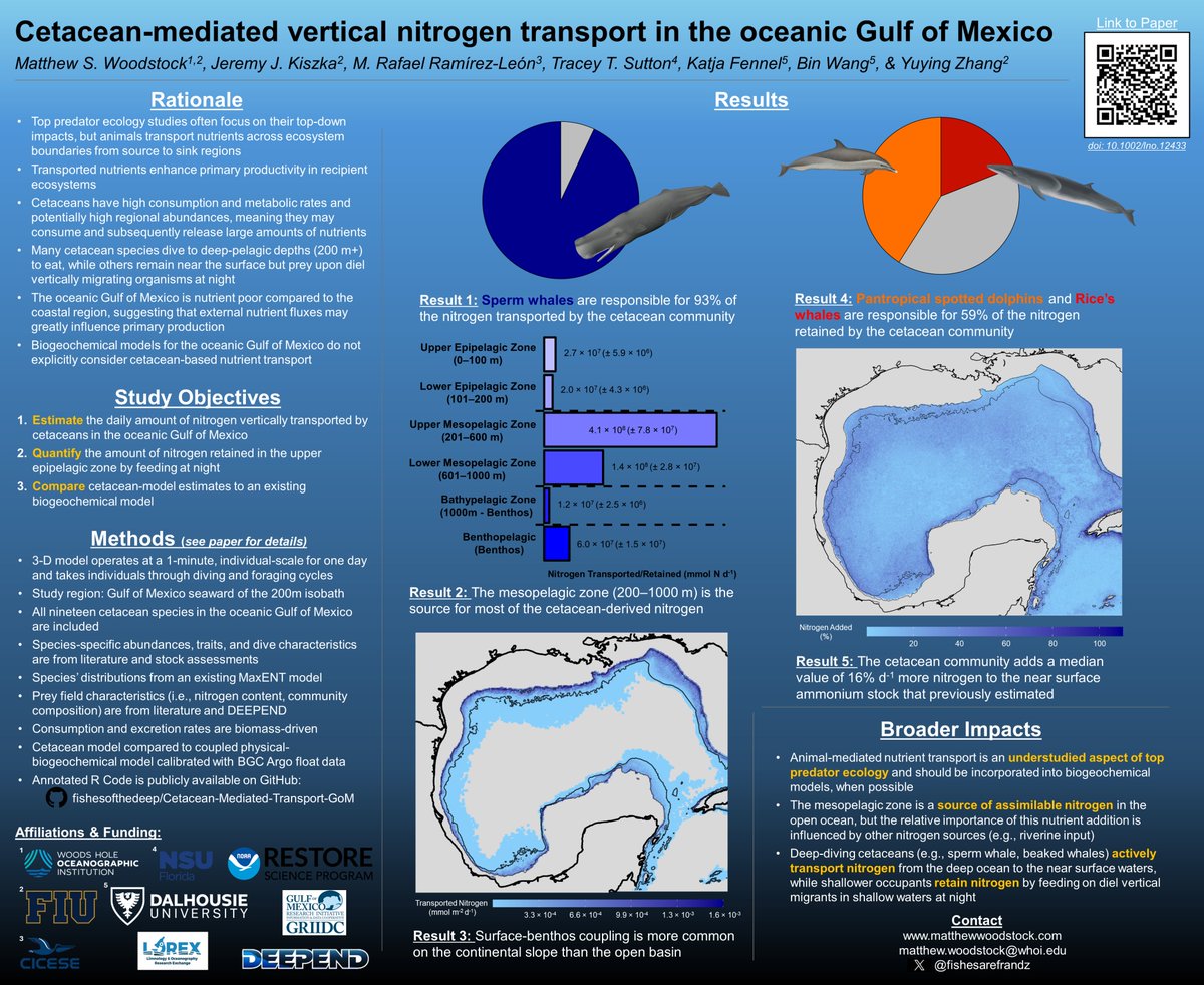 If you're at #GomCon2024 or interested in marine mammals, check out this poster highlighting our recent work modeling vertical nutrient transport by cetaceans in the Gulf of Mexico. Most of these nutrients come from the #OceanTwilightZone.