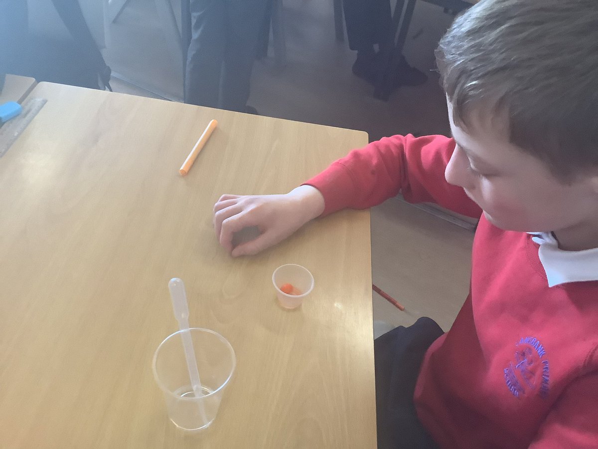 LangbankPrimary's tweet image. P6/7 carried out scientific enquiry today by modelling  the effects of climate change on Scotland’s historic buildings. We observed the effects of water on skittles and compared this to the real life effects of increased rainfall on castles @LearnGSC #GSCLearningLab