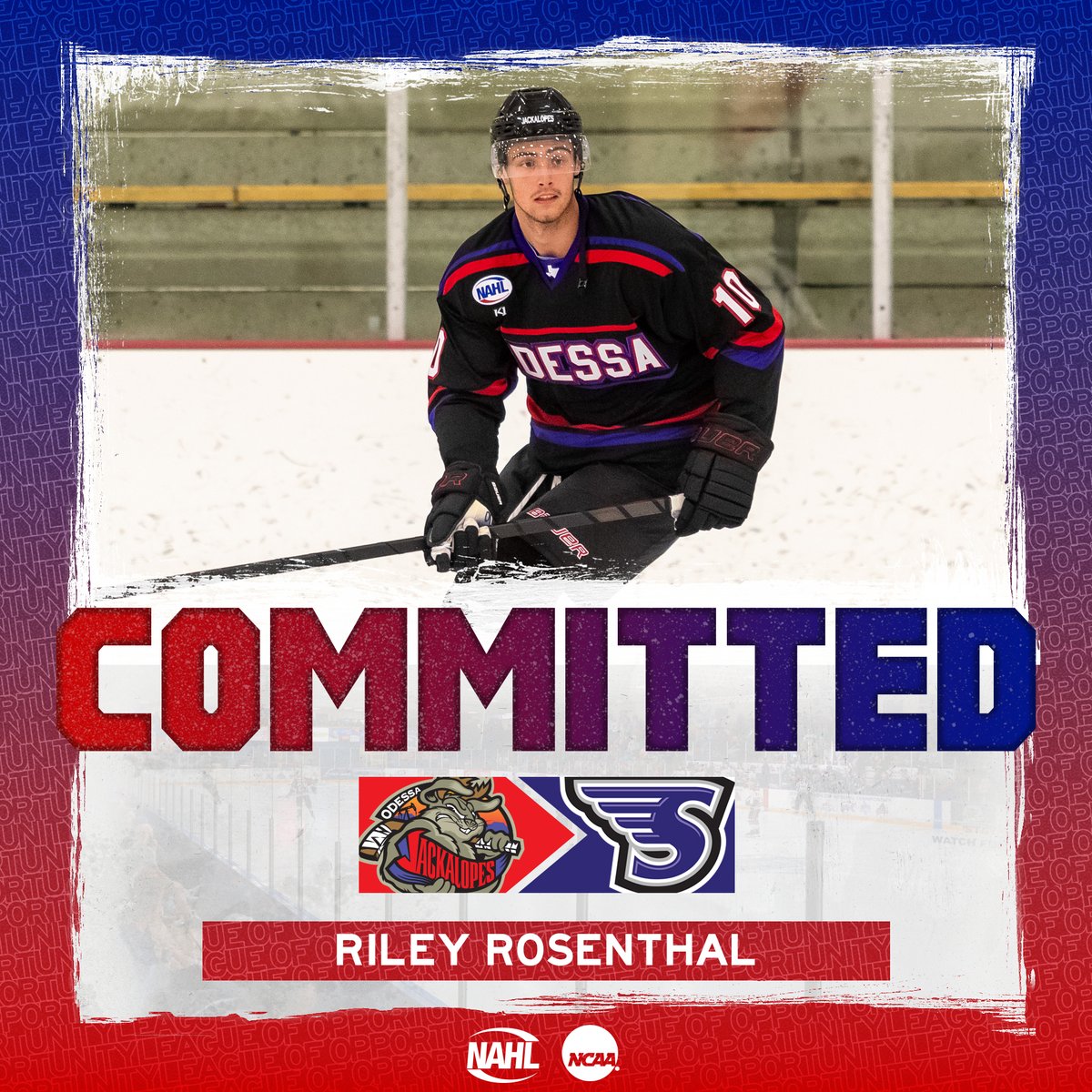 #NAHL Commitment Alert: @LetsGoJacks defenseman Riley Rosenthal has committed to play NCAA Division I @collegehockey for @StonehillHockey 📰: nahl.com/news/story.cfm…