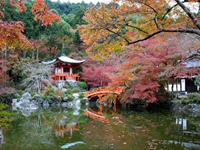 SophSummer's tweet photo. 🏯 Hôm nay, tôi đã có dịp thăm Chùa Daigoji ở Kyoto và   muốn chia sẻ với mọi người về trải nghiệm tuyệt vời tại đây!   🌸🍃
 
    Khi bước vào khuôn viên của chùa, tôi ngạc nhiên trước vẻ đẹp trang nghiêm   và uy nghi của ngôi chùa này. Với kiến trúc cổ điển và hòa quyện cùng cảnh   quan thiên nhiên xanh mướt, Chùa Daigoji tạo nên một không gian tĩnh lặng và   thanh bình, rất phù hợp để thực hành thiền và tìm kiếm sự bình an trong   lòng.
 
    Mỗi góc cạnh của chùa đều đậm chất lịch sử và văn hóa của Nhật Bản, từ các   ngôi đền nhỏ cho đến các bức tượng Phật và những cây cổ thụ già trăm năm   tuổi. Tôi cảm nhận được sự linh thiêng và kích thích tinh thần từ những hình   ảnh và âm thanh tự nhiên xung quanh.
 
    Đặc biệt, tôi không thể quên cảm giác bình yên và sự kích thích tâm hồn khi   tham gia vào các nghi lễ và hoạt động tâm linh tại chùa. Đây thực sự là một   trải nghiệm đầy ý nghĩa và sâu sắc, giúp tôi tìm lại sự cân bằng và bình an   trong cuộc sống hối hả hiện nay.
 
    Nếu bạn đặt chân đến Kyoto, đừng bỏ lỡ cơ hội thăm Chùa Daigoji - một điểm   đến không chỉ mang lại cho bạn cơ hội khám phá văn hóa và lịch sử, mà còn là   nơi để bạn tìm kiếm sự bình an và an lạc trong lòng.
 
    #ChùaDaigoji #TrảiNghiệmTâmLinh #BìnhYên 🏯🌸🍃