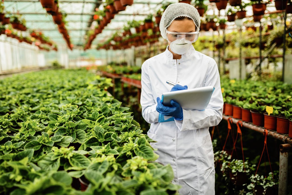 Segalmex_Mex's tweet photo. Hoy conmemoramos el día de la #IngenieraAgrónoma y el #IngenieroAgrónomo: Profesionales del campo. En nuestro blog te platicamos la invaluable labor que realizan en la #SeguridadAlimentaria del país. 
🚜👉 https://t.co/TC4SUxxF2C https://t.co/KitWsavsYo