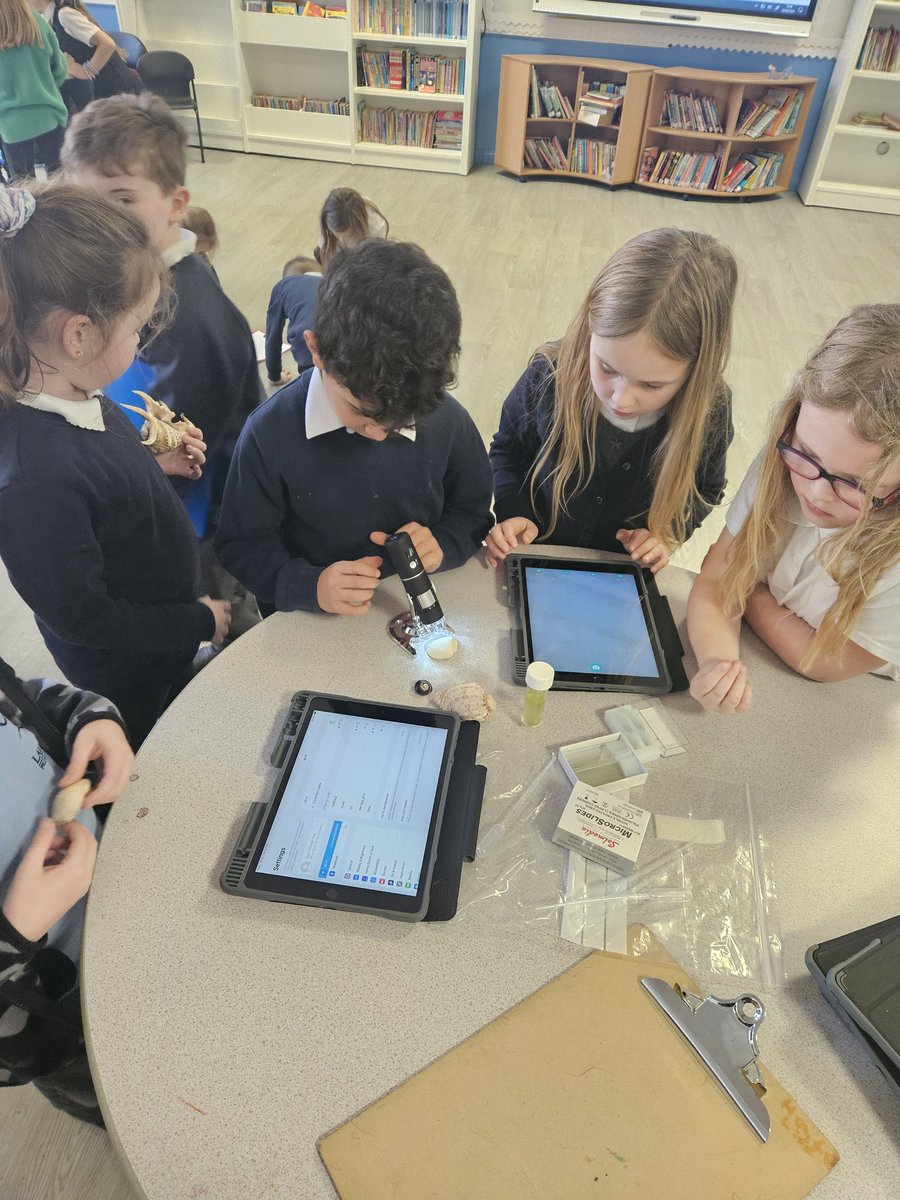 mrsmackay123's tweet photo. We had an action packed afternoon of learning today! We were lucky enough to have a visitor with all the knowledge about our topic, marine biologist @FitzerSusan from the University of Stirling! We learned about the effects of climate change on the ocean and how this affects 1/2 https://t.co/MnHJzL1AfD