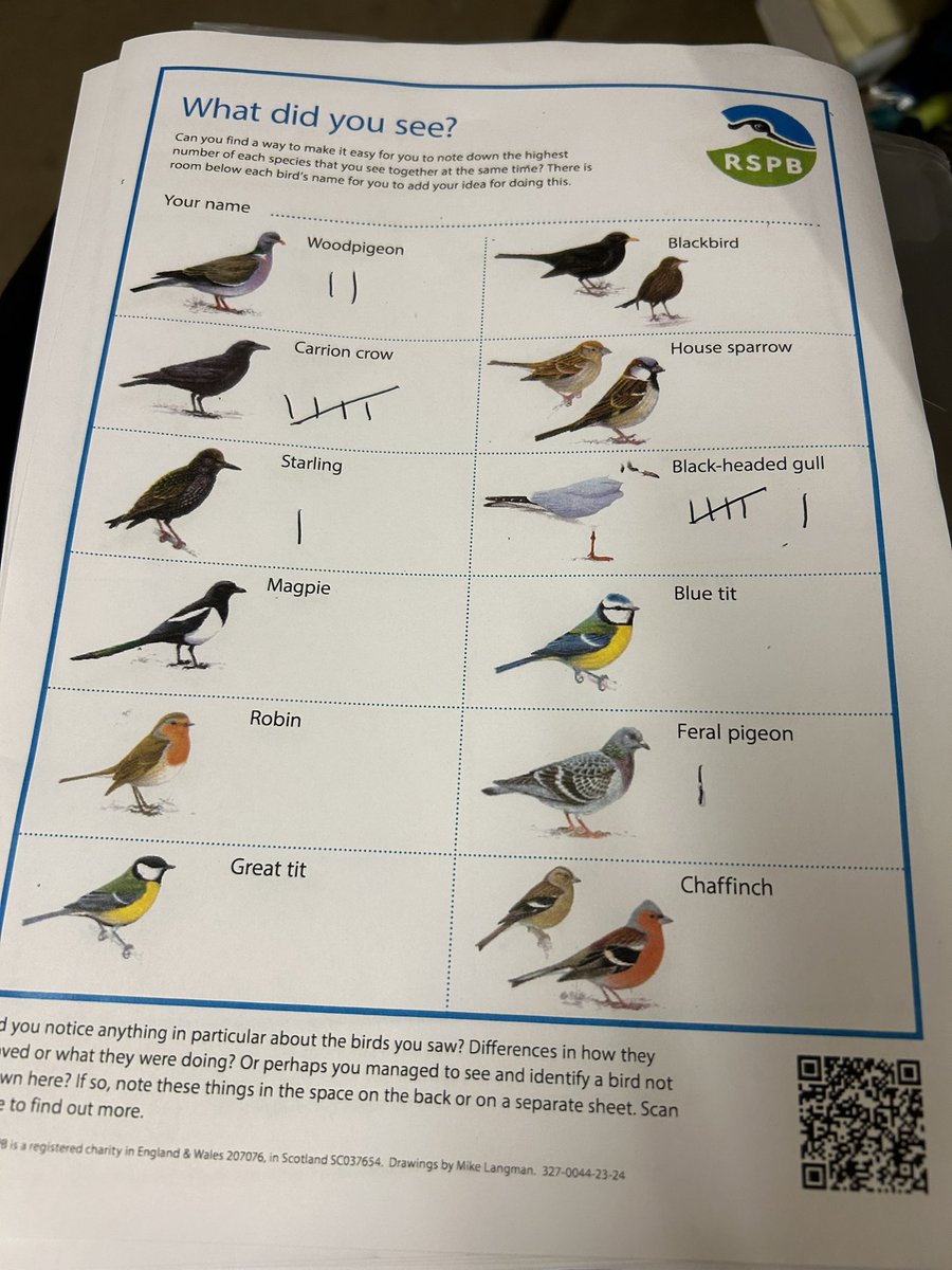bhs_biodept's tweet image. We’ve loved taking part in the RSPB Big Schools Birdwatch again this year - we were surprised to spot so many gulls in our grounds though! @Natures_Voice @RSPBNI