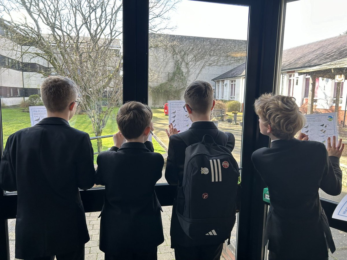 bhs_biodept's tweet image. We’ve loved taking part in the RSPB Big Schools Birdwatch again this year - we were surprised to spot so many gulls in our grounds though! @Natures_Voice @RSPBNI