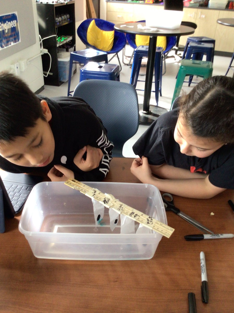 Mary Blackwell tweet media