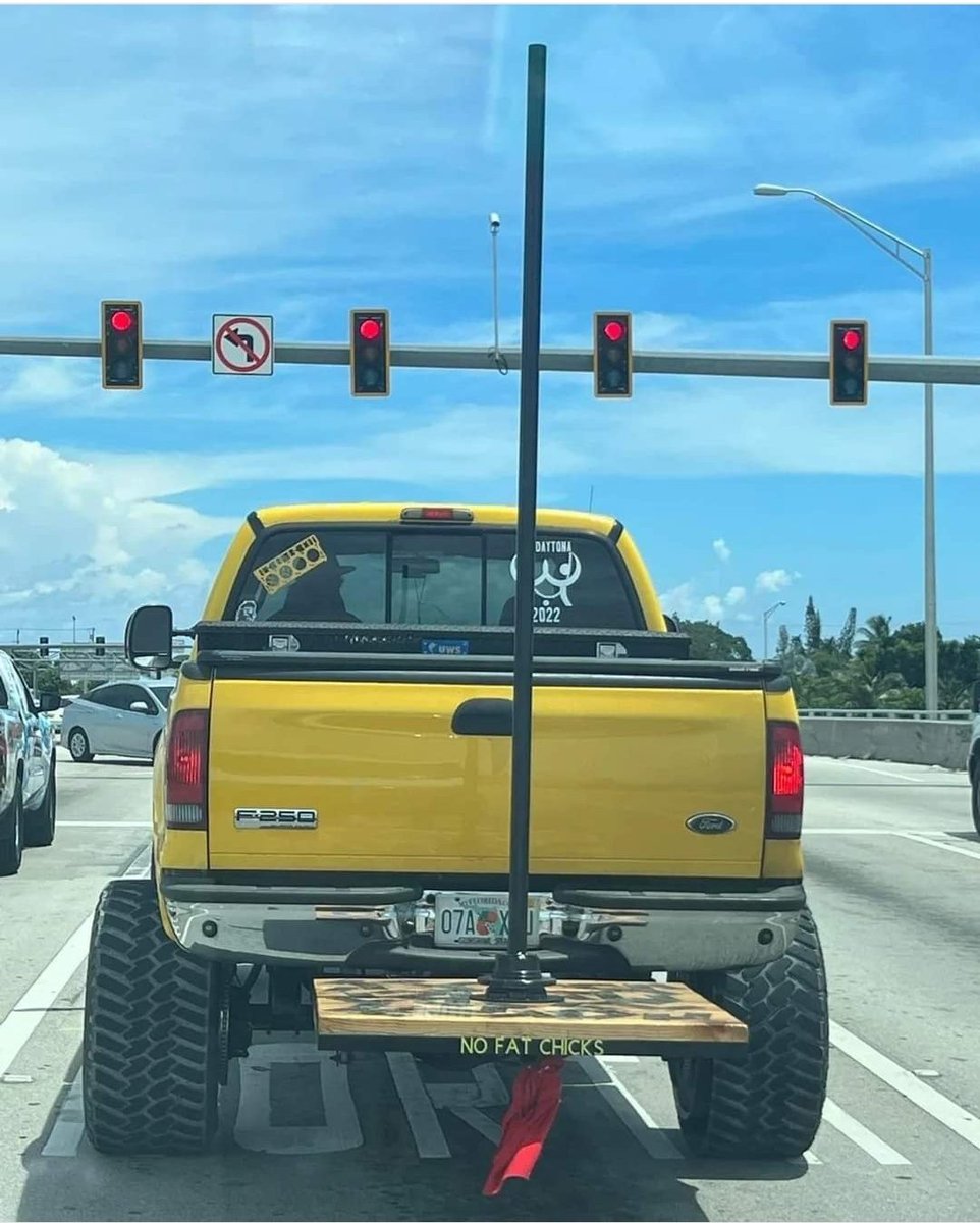 FloridaIsNuts's tweet photo. Florida, spending every day trying to Florida even harder than the last! 😂🐊

#Florida #FloridaMan #Dance #funny https://t.co/hv360m9GLf