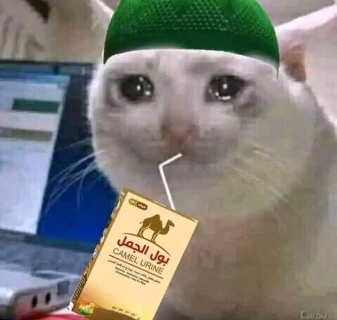 ArabScammer786's tweet photo. @anti_bodoh17 @SharmaS95525579 @faizulhaque95 @BattaKashmiri https://t.co/QxjE0CZG2d