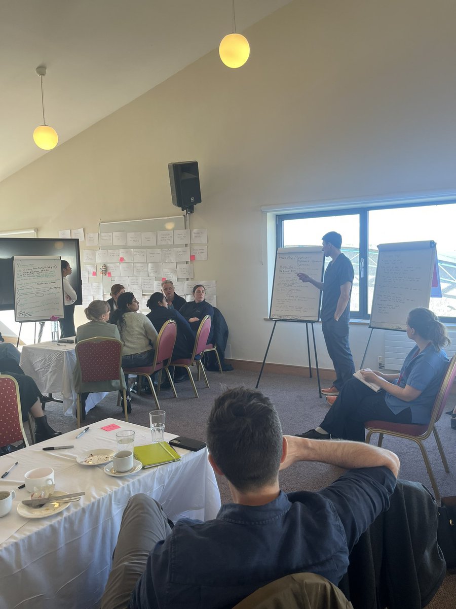 EvelynHannon's tweet photo. A big thanks to all who attended the CUH Hip Fracture Workshop this morning. Lots of discussion and ideas to improve hip fracture care. #goldenhip here we come! @ahernemer @CUH_Cork @AnthonyCoughla7 https://t.co/lrnLfM5YsQ