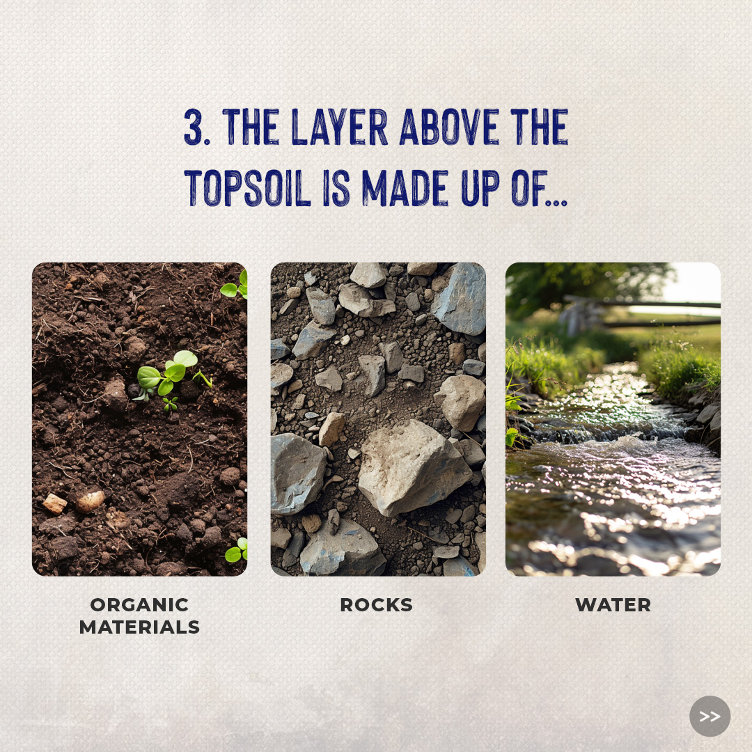 Conscious Planet #SaveSoil tweet media