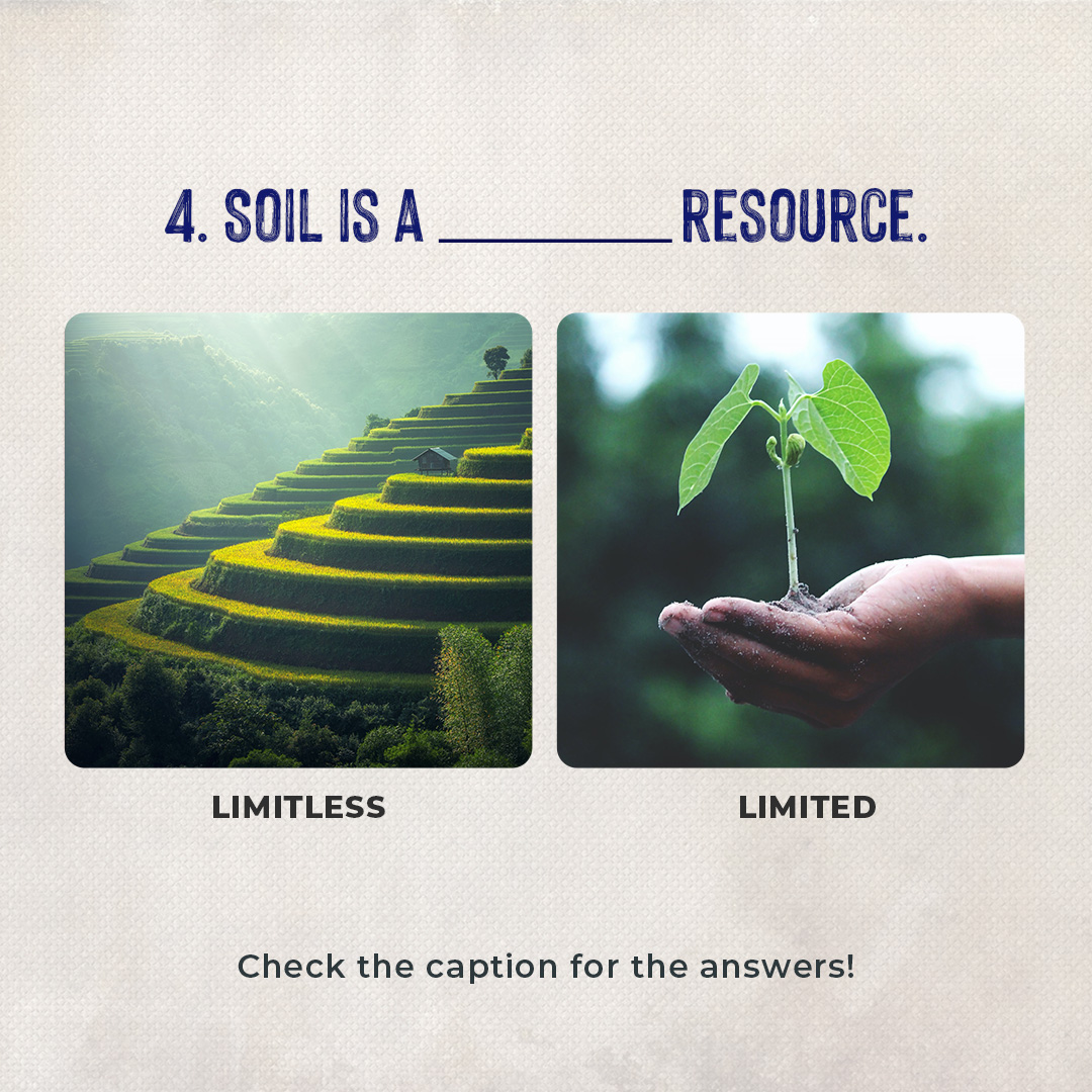 Conscious Planet #SaveSoil tweet media