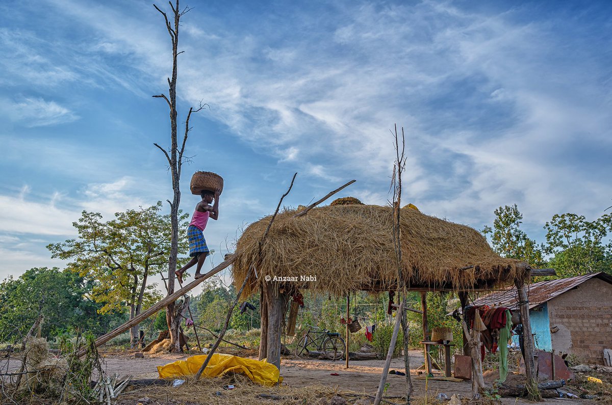 The inseparable element of rural india - village homes. #landscapephotography #anzaarnabiphotography #bastar #chhattisgarh #ruralindia