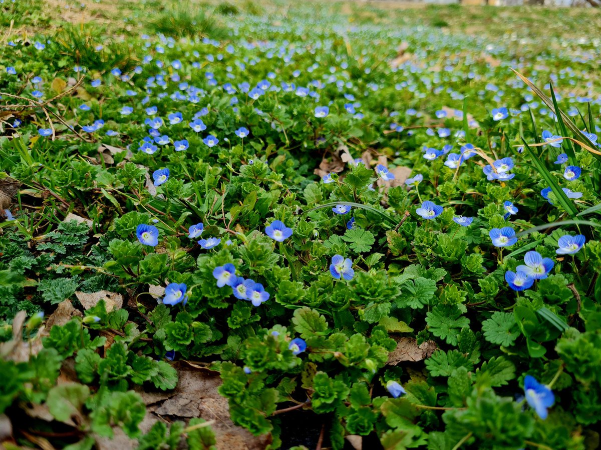 evbormir's tweet image. "Обійми мене, обійми мене, обійми

Твоя весна прийде нехай"...