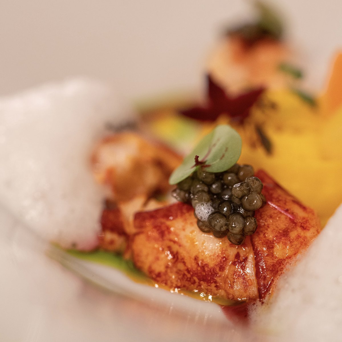 Paul Bocuse (Lyon): esta institución ha visto tiempos mejores. 
Visita gastro-historica más que otra cosa.