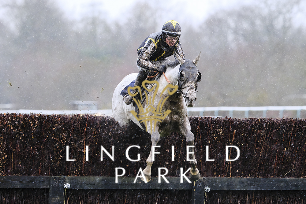 RACE 3 WINNER - Try @TheRacingApp This Afternoon Mares' Handicap Chase So Said I 🏆 Jockey: @gingell_freddie Trainer: @TizzardRacing #LingfieldPark