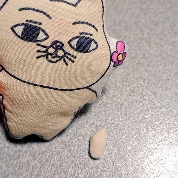 ねこのようないきもの 