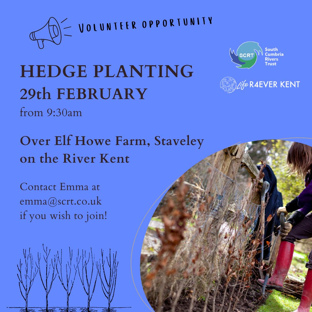 Join us on the River Kent next week. Get hands on #planting #outdoors in #Cumbria🍃