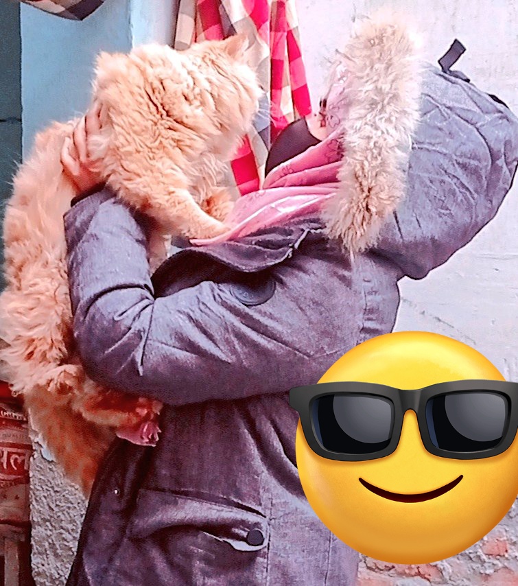 humera_itz40364's tweet photo. Life me sabse achhe dost Animal Hote https://t.co/4c0H1ZsuQU kbhi dhoka nhi dete.Humesha bas sath dete ..#Newwiee #postype https://t.co/W3HVQIAOWf