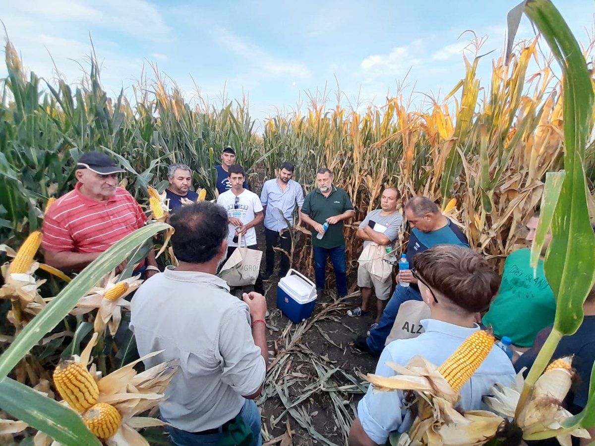 PabloBritosalz's tweet photo. Reunión con productores en lote vidriera de Alberti 
@ALZ_Agro @cm_rossetti @Brunomacchi5 @IngFlorBarberis https://t.co/x9Se5XKW6H