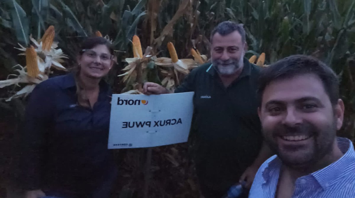 PabloBritosalz's tweet photo. Reunión con productores en lote vidriera de Alberti 
@ALZ_Agro @cm_rossetti @Brunomacchi5 @IngFlorBarberis https://t.co/x9Se5XKW6H