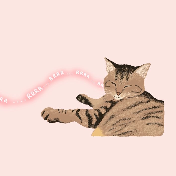illya_twt's tweet photo. #猫の日 https://t.co/WOkyRop4FR