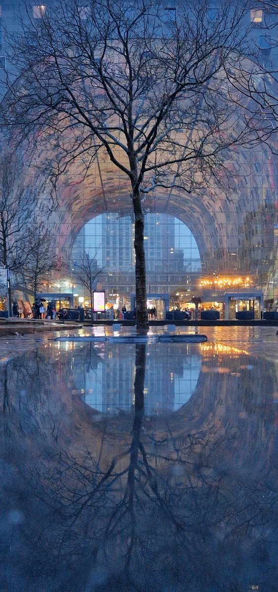 serolf's tweet image. #spiegeling #reflection #reflexión #markthal #rotterdam #rainyday #rain #city #citycenter