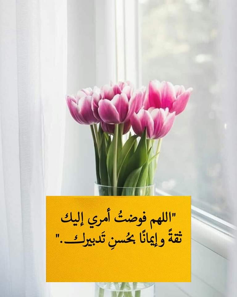 "اللهم فوضتُ أمري إليك 
ثقةً وإيمانًا بحُسنِ تَدبيرك."