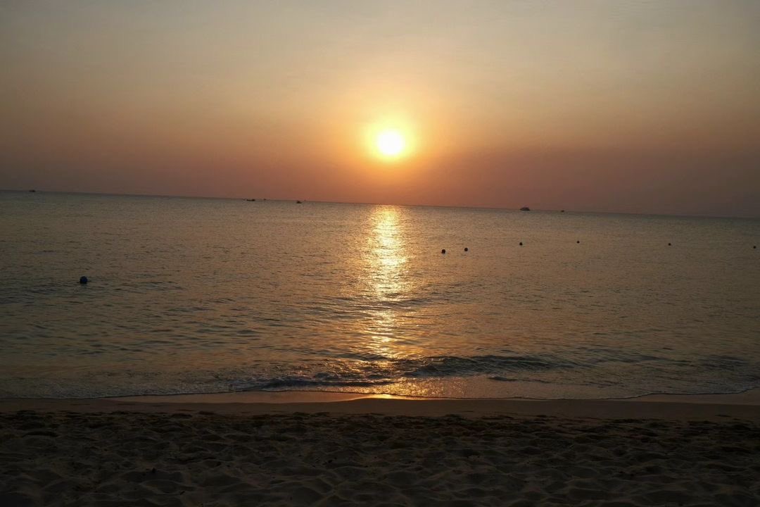 scientsth's tweet image. ㅤㅤㅤㅤ
Look at me Lokk at me.
ㅤ