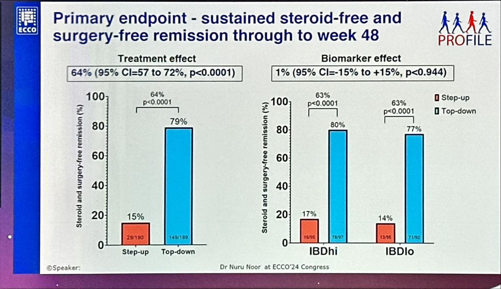 Beatriz Gros tweet media