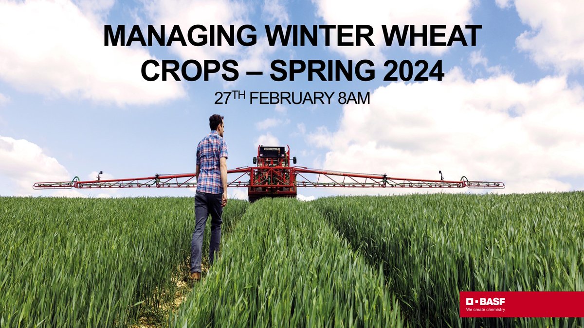 BASF Agricultural Solutions UK (@basfcropuk) on Twitter photo WEBINAR INVITE
We're delighted to be joined by Dr Aoife O'Driscoll <a href="/allohexaploid/">Aoife O' Driscoll 🧫🧬🦠</a> at our upcoming webinar, where we'll cover:
🌾 Variable leaf layer emergence <a href="/niabgroup/">Niab</a> trials
🌿 Manipulating septoria epidemics
💪 Resilient disease control
Sign-up here agricentre.basf.co.uk/en/News-Events… WEBINAR INVITE
We're delighted to be joined by Dr Aoife O'Driscoll <a href="/allohexaploid/">Aoife O' Driscoll 🧫🧬🦠</a> at our upcoming webinar, where we'll cover:
🌾 Variable leaf layer emergence <a href="/niabgroup/">Niab</a> trials
🌿 Manipulating septoria epidemics
💪 Resilient disease control
Sign-up here agricentre.basf.co.uk/en/News-Events…