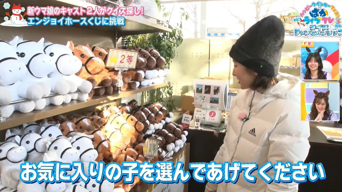 ハズレなしで馬のぬいぐるみが選び放題なエンジョイホースくじめっちゃ