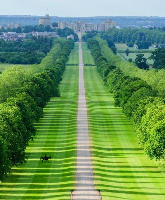 Hit the like button if you either have or would love to walk down the long walk at Windsor Castle 🏰 it looks beautiful #WindsorCastle