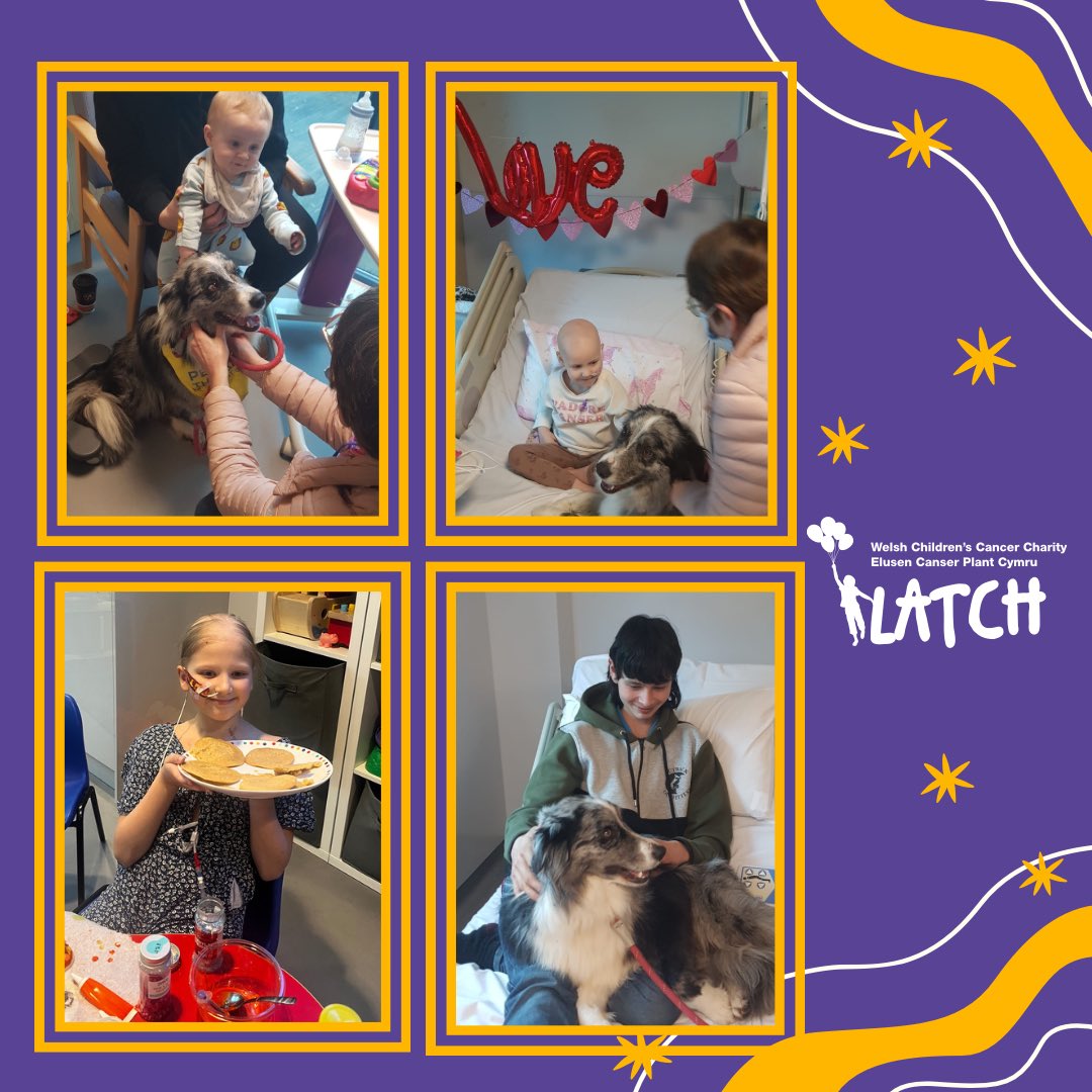 Well what a week we’ve had on Rainbow ward! 🌈 Thank you to Sharon & lovely Acer for coming to visit us all & creating lots of smiles! It’s safe to say he was a hit with all the children! The fantastic play therapists were also cooking up a storm with cookie & cone decorating