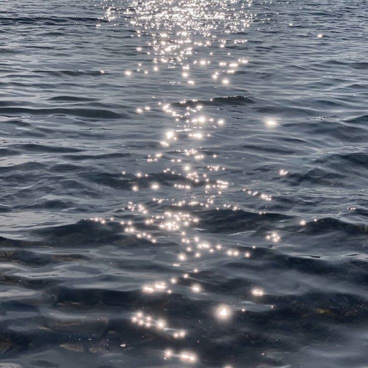 𝕰𝖑𝖊𝖒𝖒𝖎𝖗𝖊 tweet media