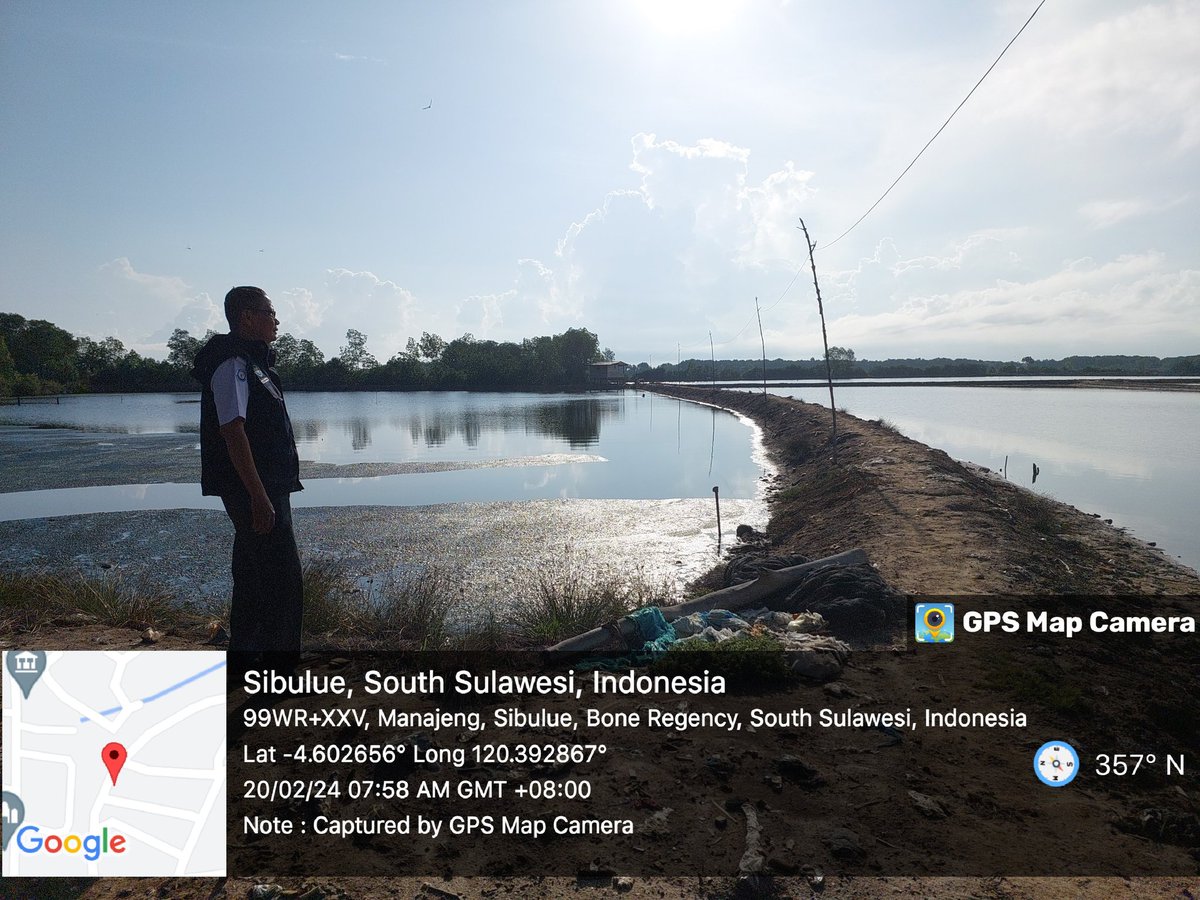 MSyafruddin15's tweet photo. Selasa(20/2/2024), M. Syafruddin, Luhkan Kab. Bone, anwar anggota
Pokdakan Sipadecengi Ds Manajeng, mendampingi Panen 
Udang Vaname, Tradisional plus, sebanyak 500 kg, 
luas tambak 5000m2, bobot panen 90 gr, harga 50000/kg

#GiatLuhkanSatminkalMaros #Bone#Panen https://t.co/thuuUx2ifs