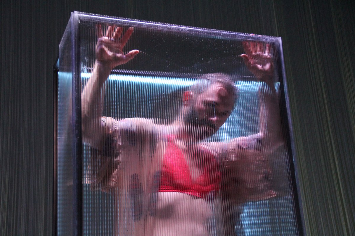 🎭Mañá venres, no Teatro Principal de Ourense , estreamos 'O dragón de ouro'! Será a primeira vez que vexamos en galego unha obra de Roland Schimmelpfennig, o autor alemán vivo máis representado a nivel internacional. Funcións sabado e domingo
🎟️Entradas: acortar.link/RuWZNE