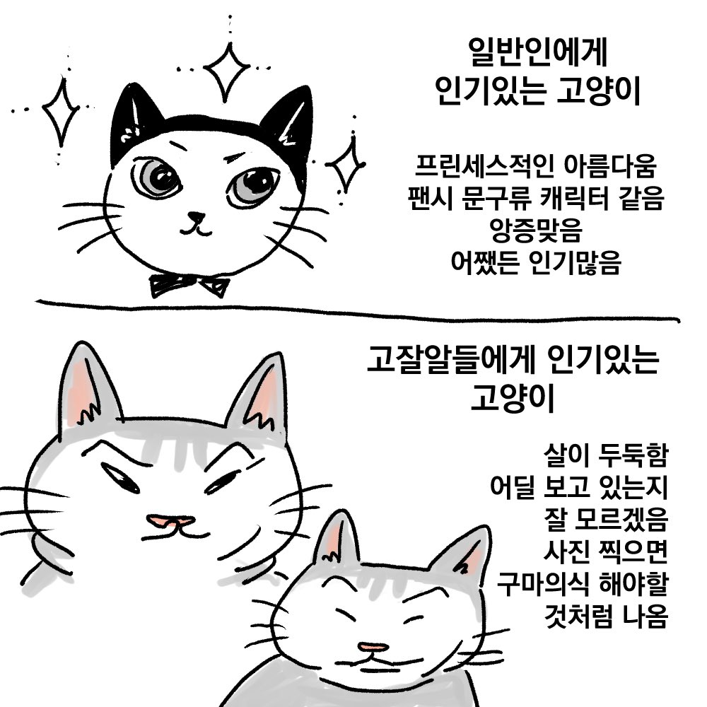 깽깽이 tweet media