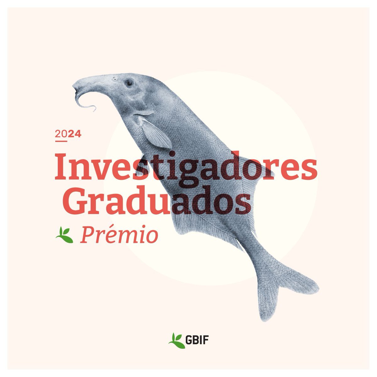 ✅ Você está inscrito em um programa de pós-graduação em 🇵🇹? ✅ Faz investigação #OpenData sobre #Biodiversidade? Faltam 3 meses para submeter sua candidatura ao Prêmio GBIF para Investigadores Graduados 2024! #GRA24 👉 bit.ly/gra-por-24