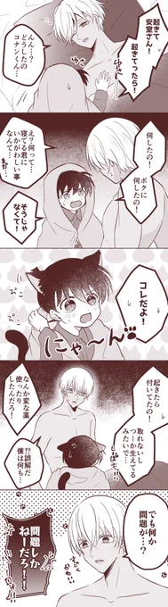 🐈‍⬛の日の安コ 